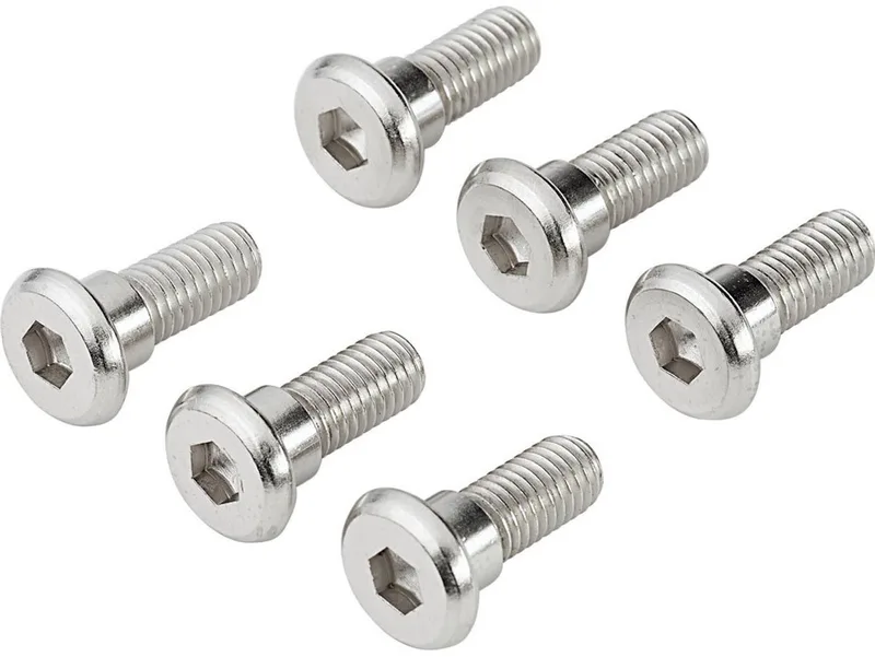 Mss133-5 M8x1.25/24.5 Mm Schroeven Remschijf Zilver van TRW in Zilver – productfoto
